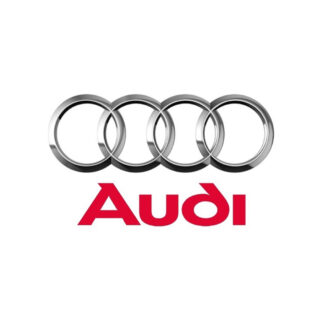 Audi Kontrol Valf